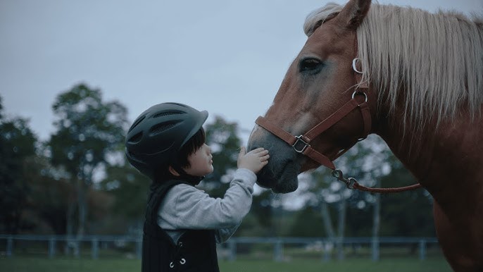 CMソング | JRA日本中央競馬会 「Be With. 競馬のチカラを、社会に。」篇で流れる曲は? 2024年11月公開